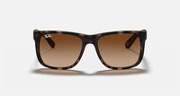 Ray-Ban RB 4165 710/13 54/137