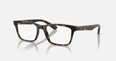 Ray-Ban RB 7025 8282 55 (SH)