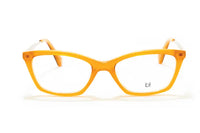 Dj/Ab BI 2211 50 C4 (SH)