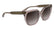 CALVIN KLEIN CK24535S 2 Size 55