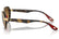 RAYBAN RB 3703-M F076/A2 51 FERRARI (114)