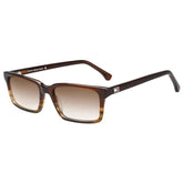 Tommy-Hilfiger TH 3509 C4/BRWN 55 (SH)