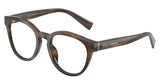 D&G DG 3421 3200 (SH) Size 50