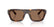 D&G DG 4496 (2) 502/73 Size 54