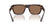 D&G DG 4496 (2) 502/73 Size 54