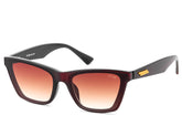 Irus S1350 C2 64