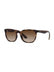 Ray-Ban RB 4390 710-13 54/146