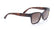 Vogue VO 5534-SI W65613 53