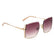 SCOTT SC 2986 C1 Size 60