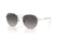 RAYBAN RB 3809 003/M3 Size 53/212
